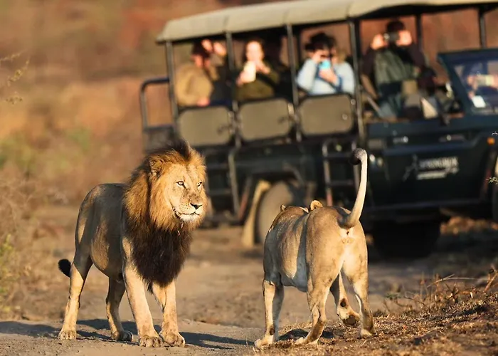 The Springbok Lodge