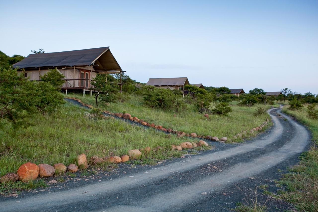 The Springbok Lodge *
