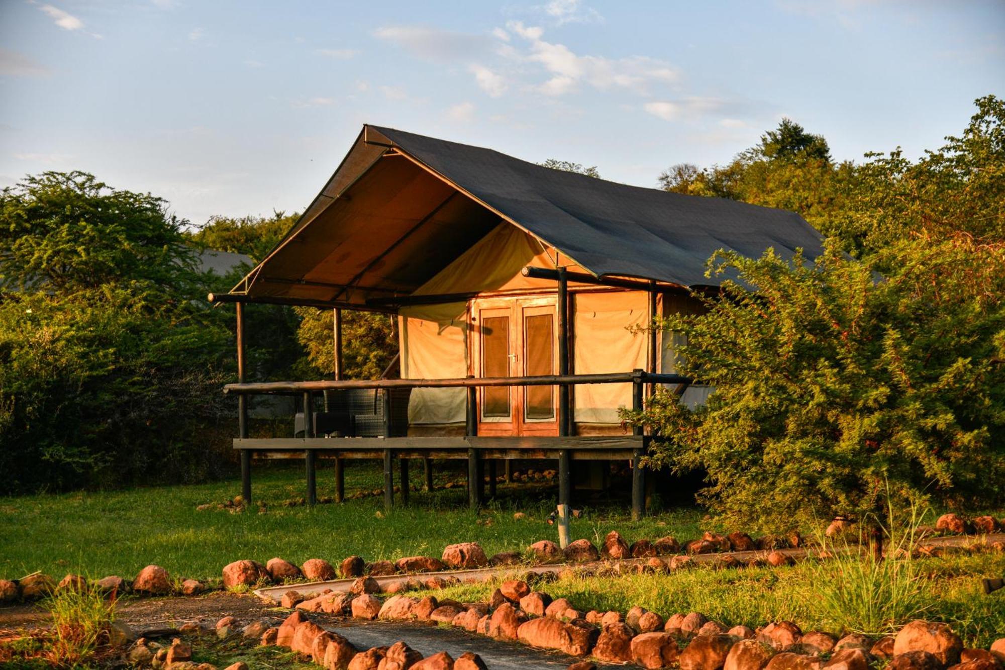 The Springbok Lodge *