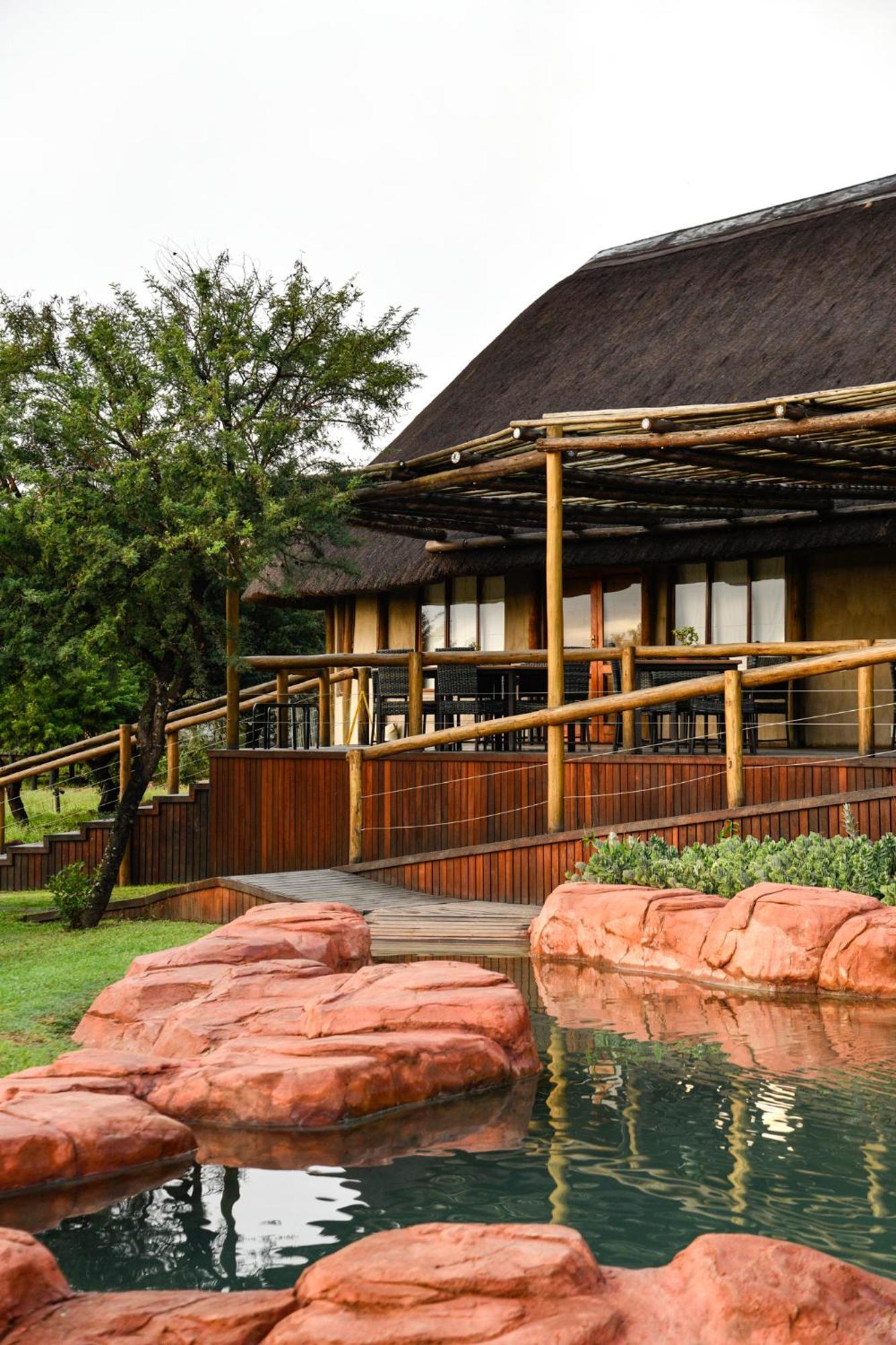 The Springbok Ladysmith
