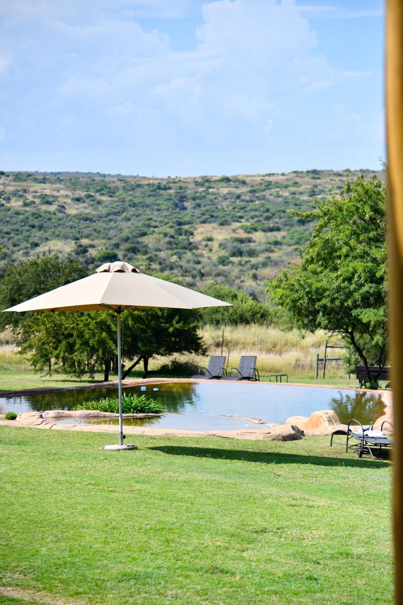 The Springbok