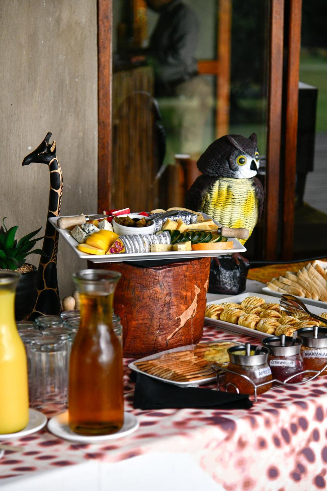 Lodge The Springbok Ladysmith