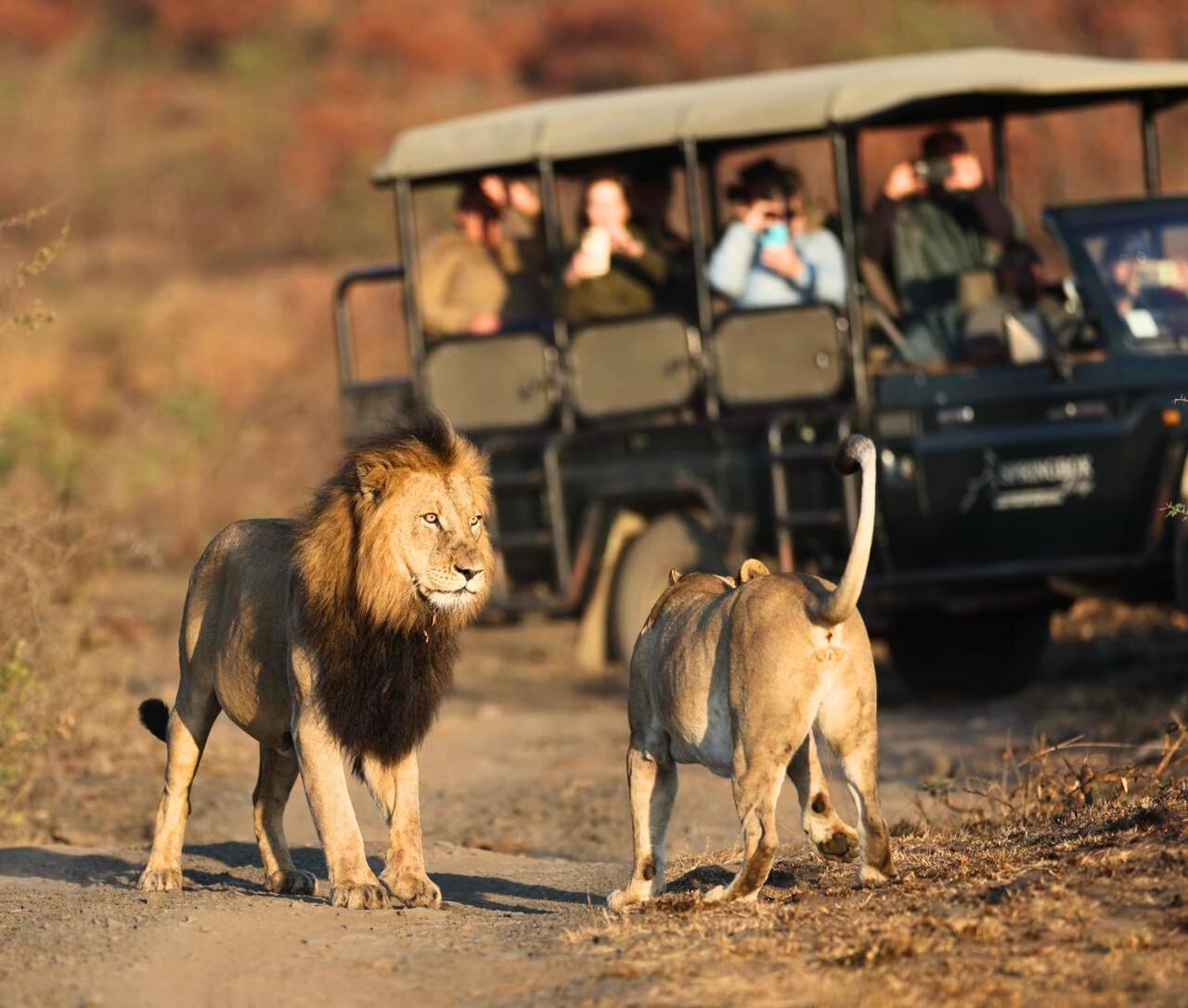 Lodge The Springbok *