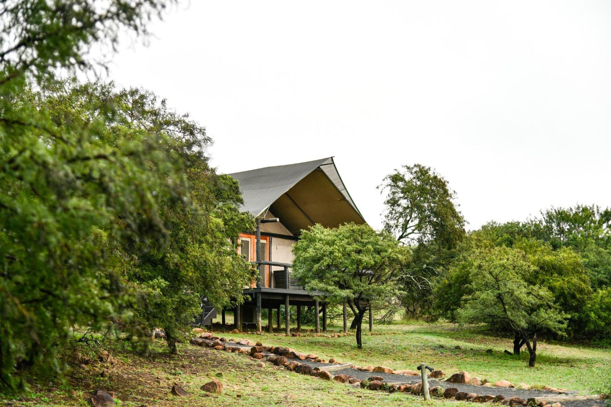 Lodge The Springbok